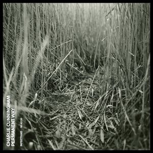 亚洲伦理视频在线
