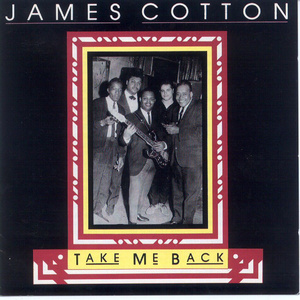 亚洲伦理视频在线
