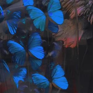 亚洲伦理视频在线
