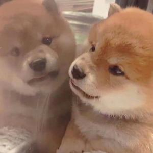 亚洲伦理视频在线
