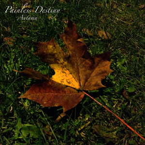 亚洲伦理视频在线
